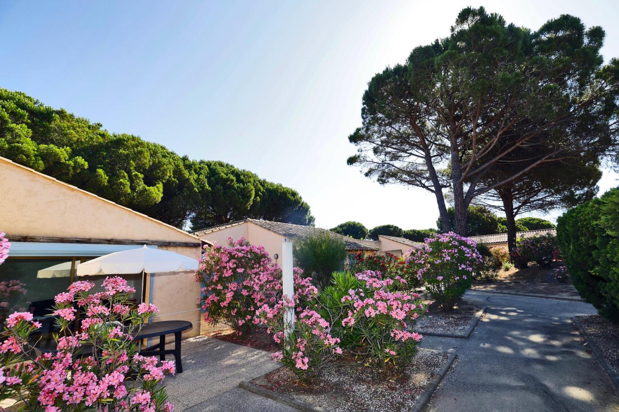 Village Vacances De Ramatuelle - Le Sentier Des Pins Eksteriør bilde