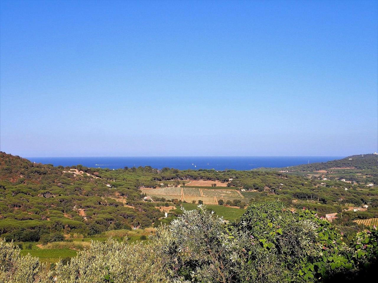 Village Vacances De Ramatuelle - Le Sentier Des Pins Eksteriør bilde